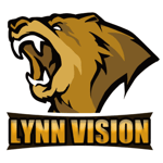 Lynn Vision